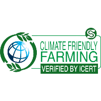 Logo_cff_200x200-removebg-preview